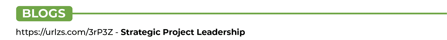 Stratergic Project Leadership