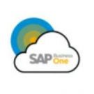 SAP _Business _One_(B1)
